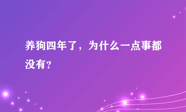 养狗四年了，为什么一点事都没有？