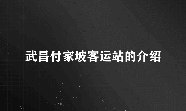 武昌付家坡客运站的介绍