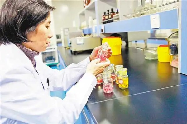 生物老师拿自己做繁殖实验违法吗