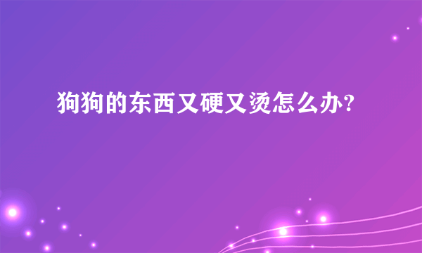 狗狗的东西又硬又烫怎么办?