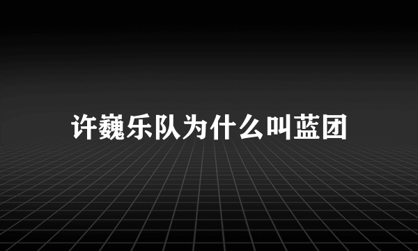 许巍乐队为什么叫蓝团