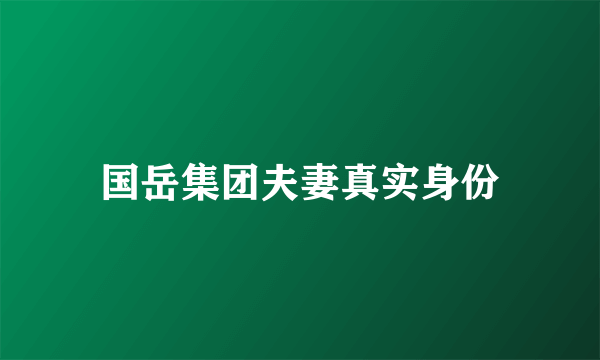 国岳集团夫妻真实身份