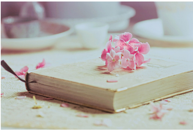 游兵散勇打一生肖