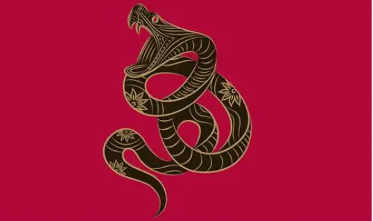 一战成名打一准确生肖