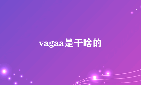vagaa是干啥的