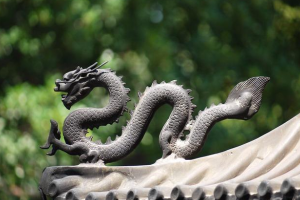 后继有人打一正确生肖