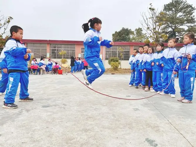 用有的......有的......有的......造句