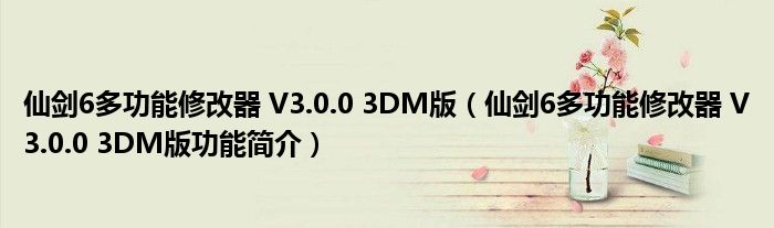 仙剑6多功能修改器V3003DM版仙剑6多功能修改器V3003DM版功能简介