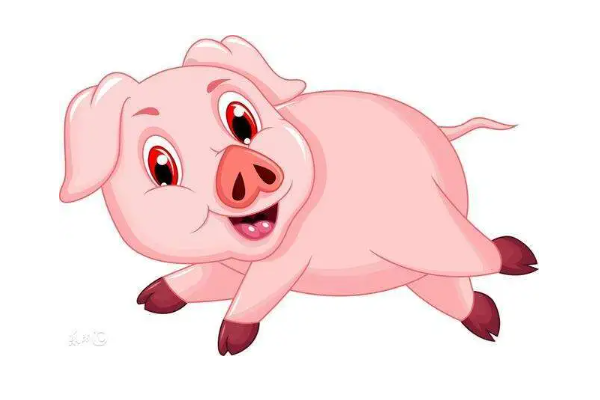 四六转动五坠落指什么动物