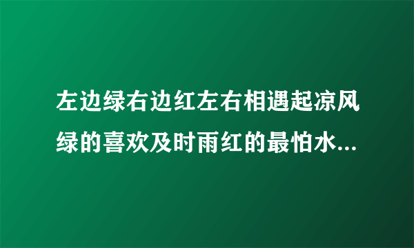 左边绿右边红左右相遇起凉风绿的喜欢及时雨红的最怕水来攻打一字