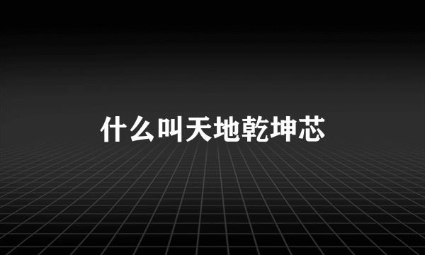 什么叫天地乾坤芯