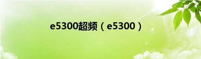 e5300超频e5300
