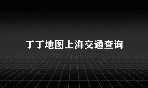丁丁地图上海交通查询