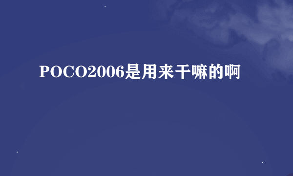 POCO2006是用来干嘛的啊