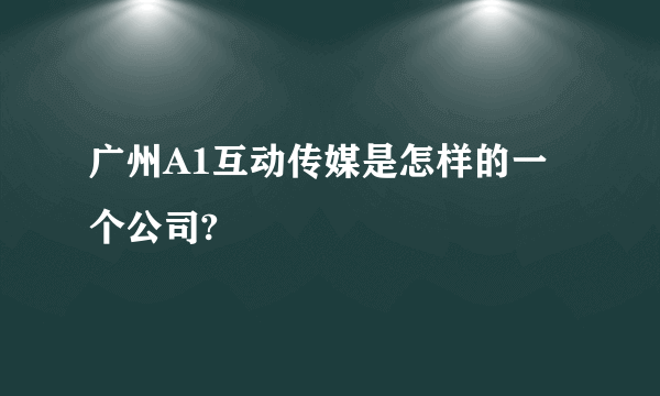 广州A1互动传媒是怎样的一个公司?