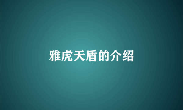 雅虎天盾的介绍