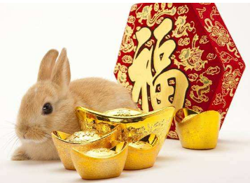 2023年是什么生肖年？