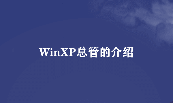 WinXP总管的介绍