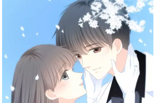 下厨房金银花露的小说有哪些?