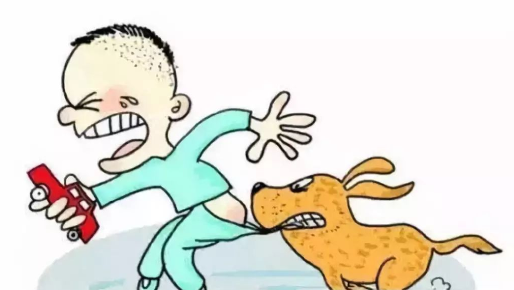 央媒评安阳狗咬伤老人事件，都说了什么？