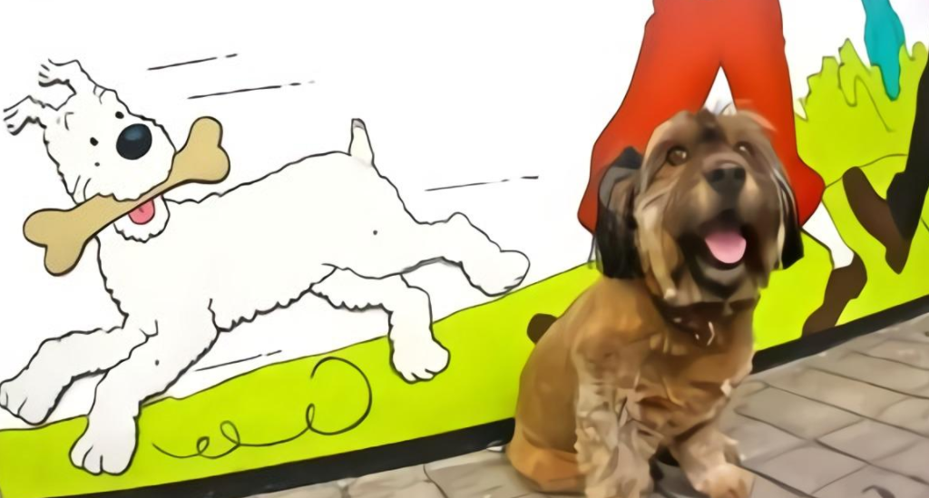 央媒评安阳狗咬伤老人事件，都说了什么？