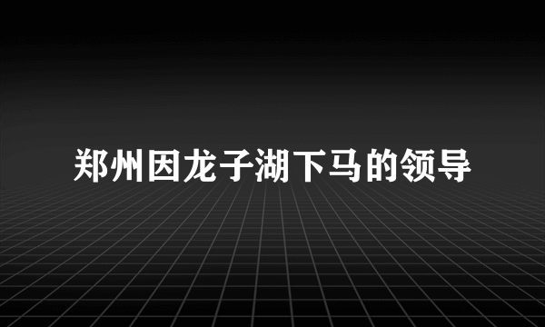 郑州因龙子湖下马的领导