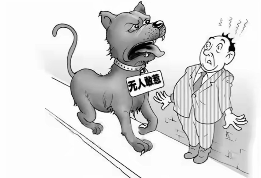 央媒评安阳狗咬伤老人事件，都说了什么？