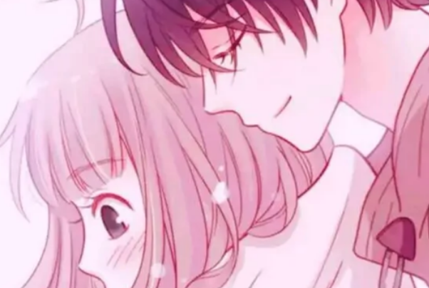 下厨房金银花露的小说有哪些?