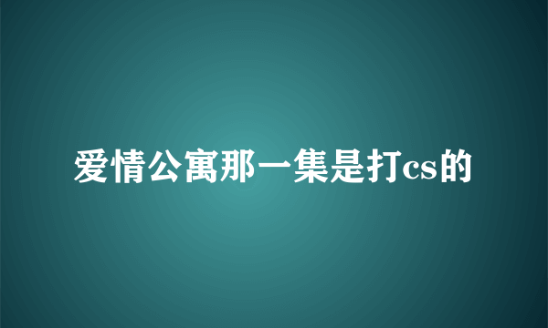 爱情公寓那一集是打cs的