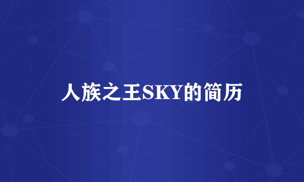 人族之王SKY的简历
