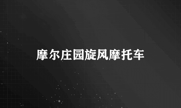摩尔庄园旋风摩托车