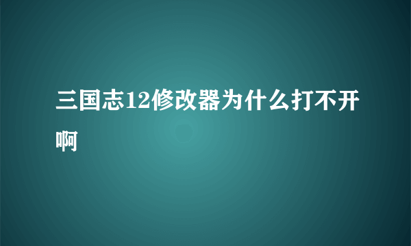 三国志12修改器为什么打不开啊