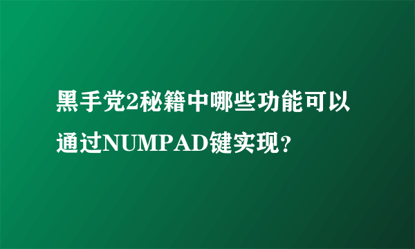 黑手党2秘籍中哪些功能可以通过NUMPAD键实现?