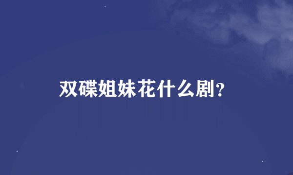 双碟姐妹花什么剧?