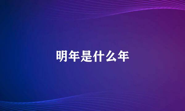 明年是什么年