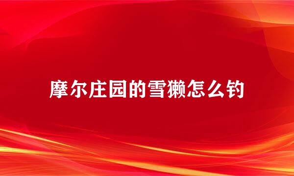 摩尔庄园的雪獭怎么钓
