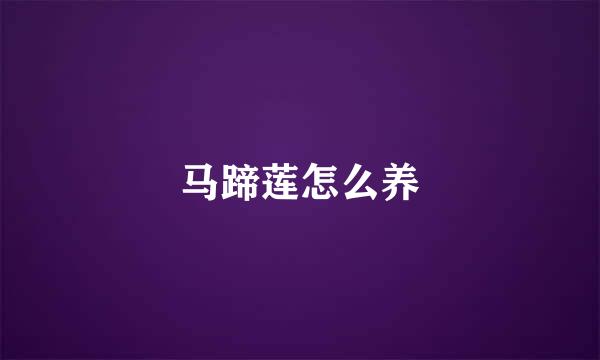 马蹄莲怎么养