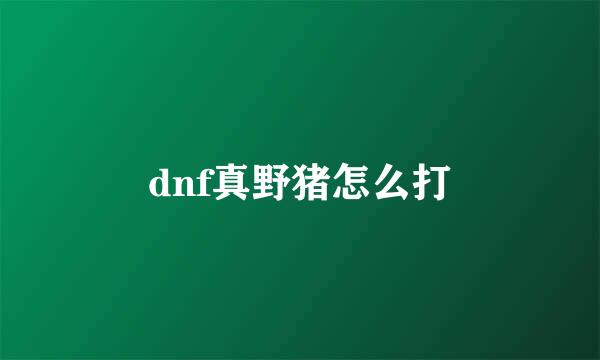 dnf真野猪怎么打