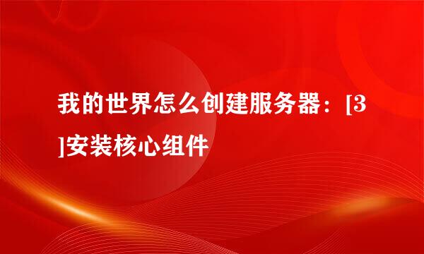 我的世界怎么创建服务器：[3]安装核心组件