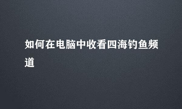 如何在电脑中收看四海钓鱼频道