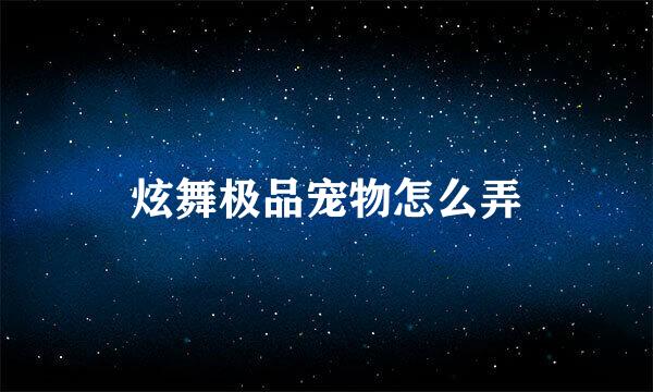 炫舞极品宠物怎么弄