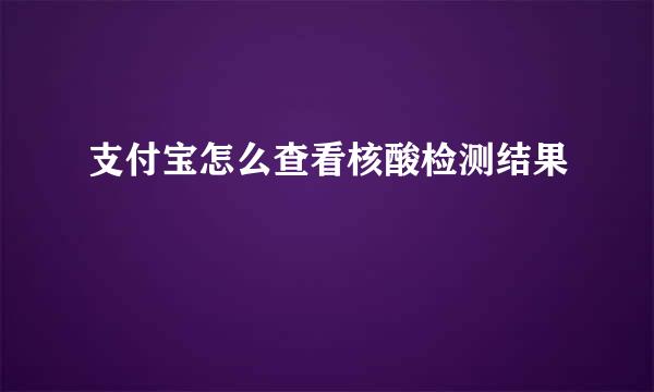 支付宝怎么查看核酸检测结果