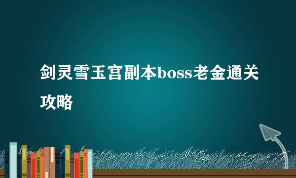 剑灵雪玉宫副本boss老金通关攻略