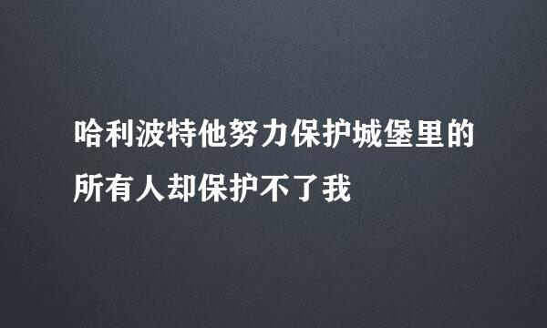 哈利波特他努力保护城堡里的所有人却保护不了我