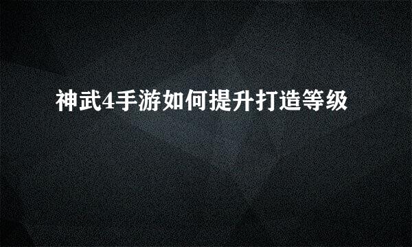 神武4手游如何提升打造等级