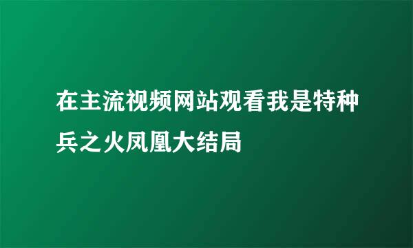 在主流视频网站观看我是特种兵之火凤凰大结局