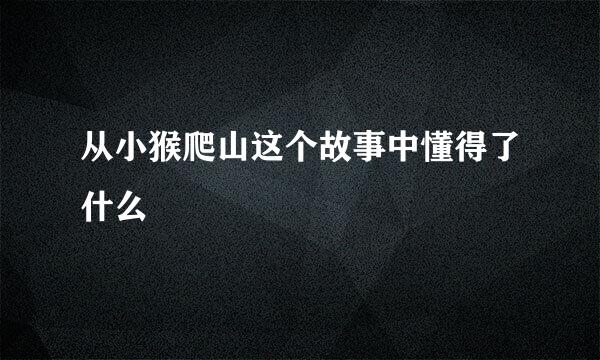 从小猴爬山这个故事中懂得了什么