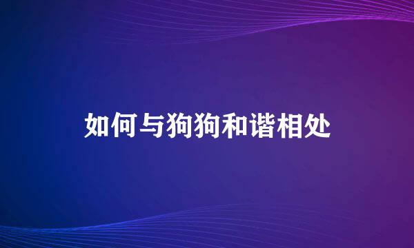 如何与狗狗和谐相处