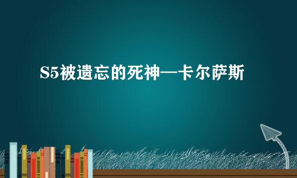 S5被遗忘的死神—卡尔萨斯