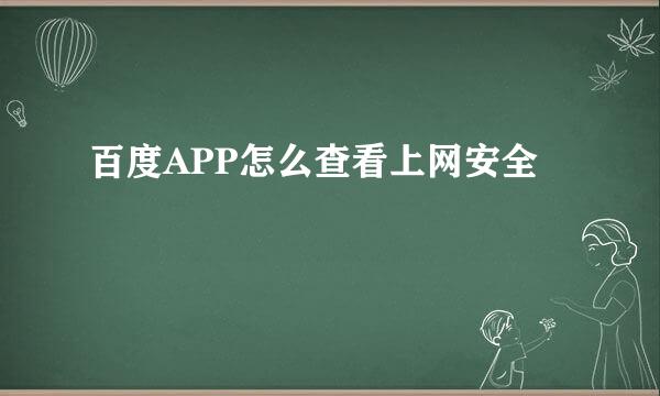 百度APP怎么查看上网安全